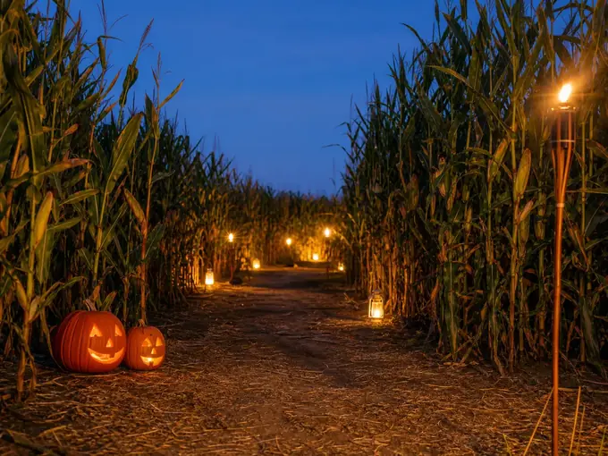 Halloween und Nachtlabyrinthe 2026: Termine und Planung