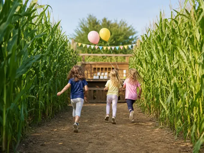 Kindergeburtstag und Gruppen im Maislabyrinth planen