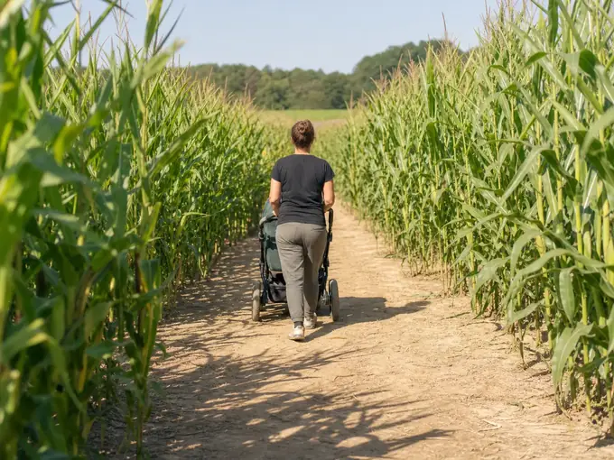 Mit Kinderwagen oder Rollstuhl ins Maislabyrinth: Worauf achten?