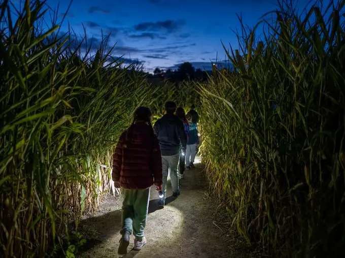 Nachtlabyrinth und Halloween: So gelingt der Abendbesuch
