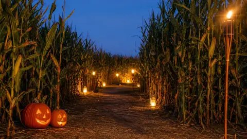 Halloween und Nachtlabyrinthe 2026: Termine und Planung
