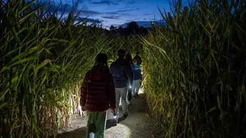 Nachtlabyrinth und Halloween: So gelingt der Abendbesuch